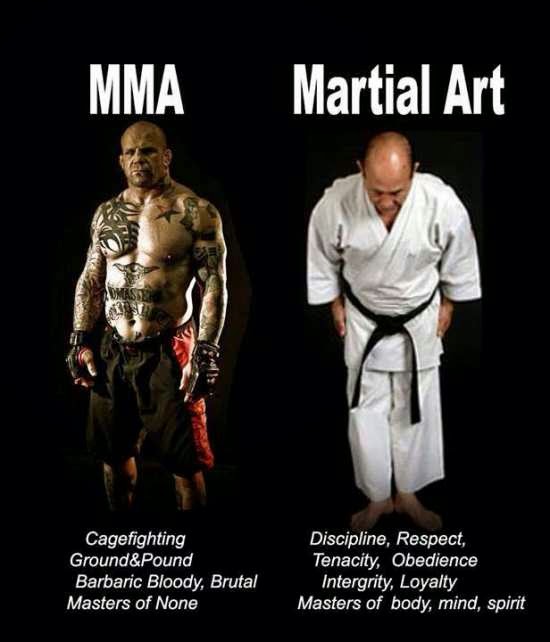 MMA vs. Martial Arts STRENGTH FIGHTER