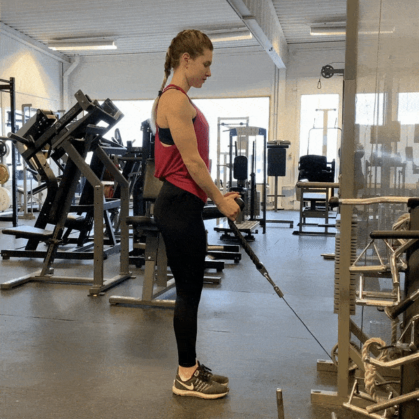 Cable Curl With Rope Muscles Worked & Technique StrengthLog Cable Curl With Rope Muscles Worked & Technique StrengthLog