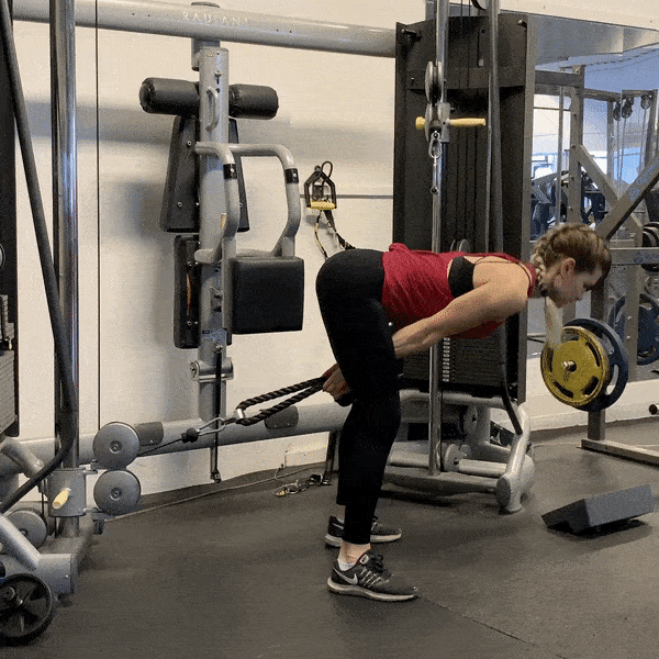 Cable PullThrough Muscles Worked & Technique StrengthLog Cable PullThrough Muscles Worked & Technique StrengthLog