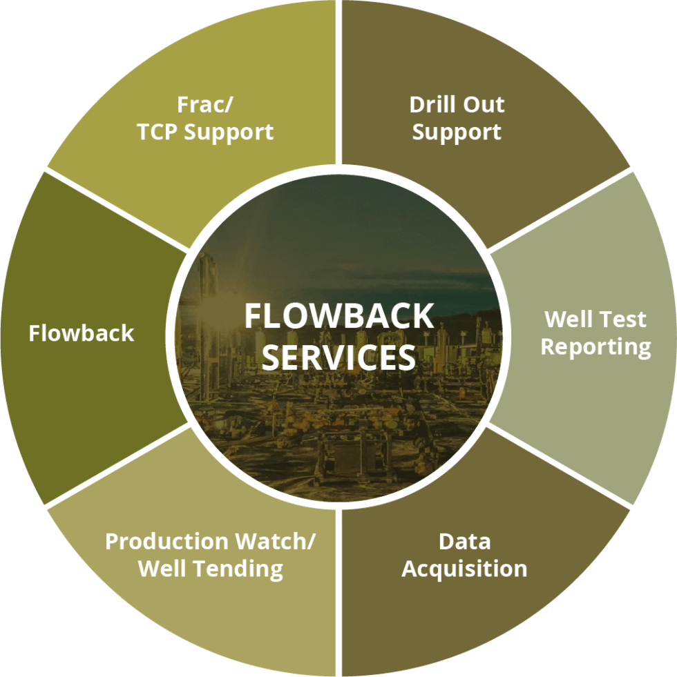 Services StricLan Companies, LLC