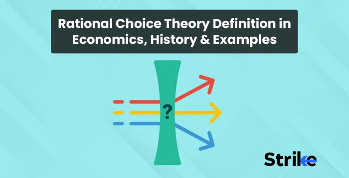 Rational-choice voting definition