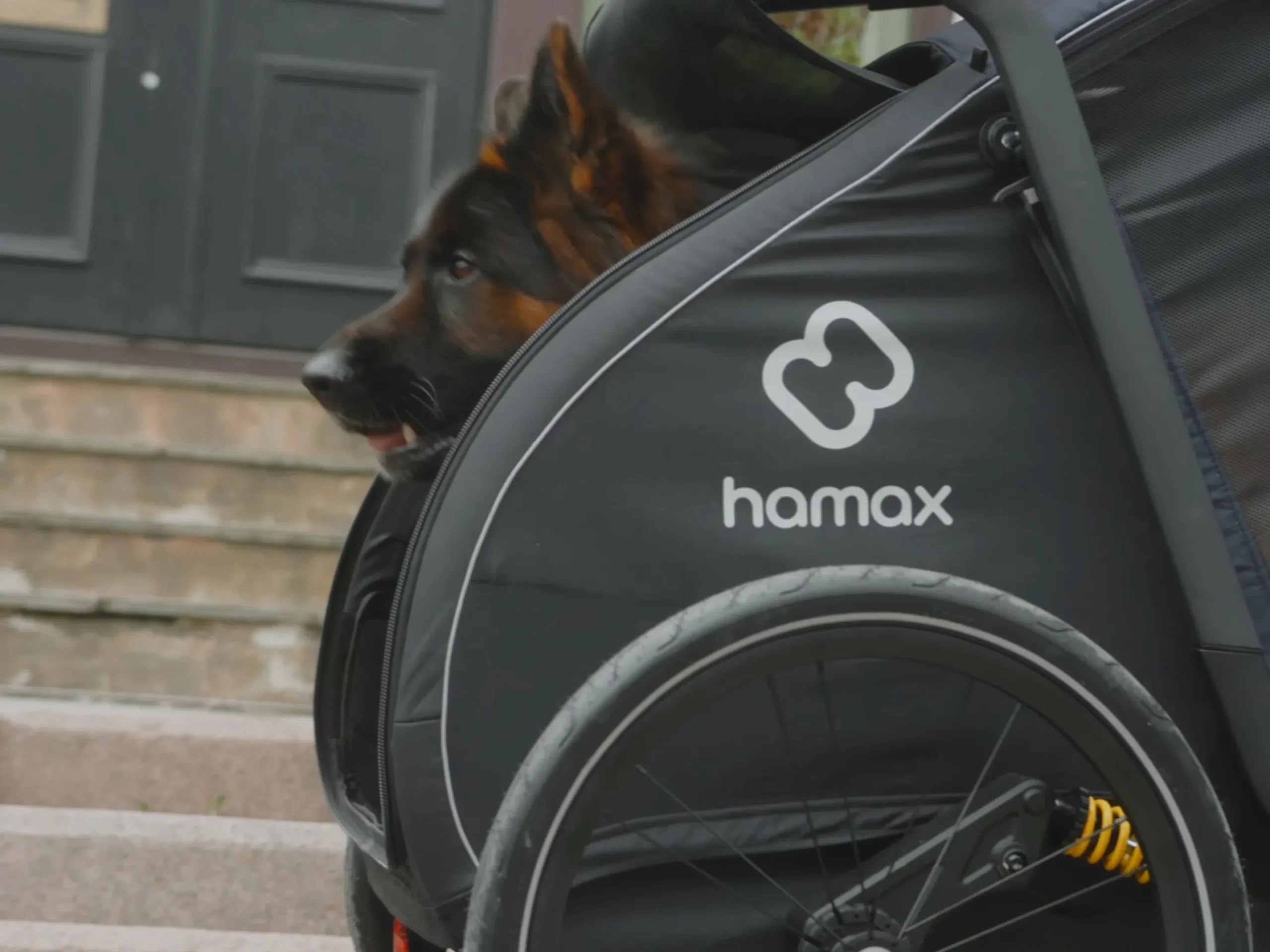 Bike Trailers For Dogs How To Choose The Right One? String Bike