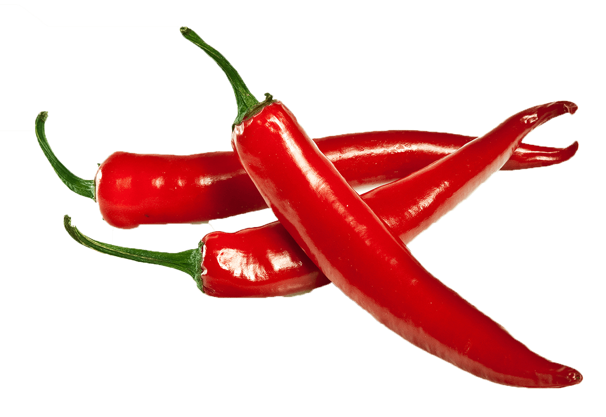 나는 빨간 칠리 고추 벡터 일러스트와 함께 뜨겁다 고추 붉은 고추 매운 고추 Png 일러스트 및 벡터 에 대한 무료 1129