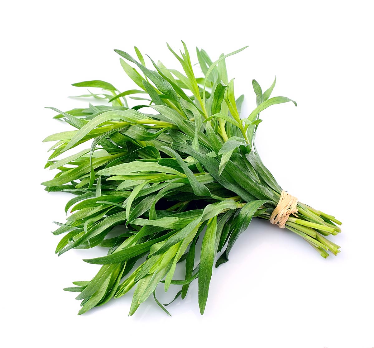Tarragon Flavouring for Food & Drink Industry Stringer Flavour UK
