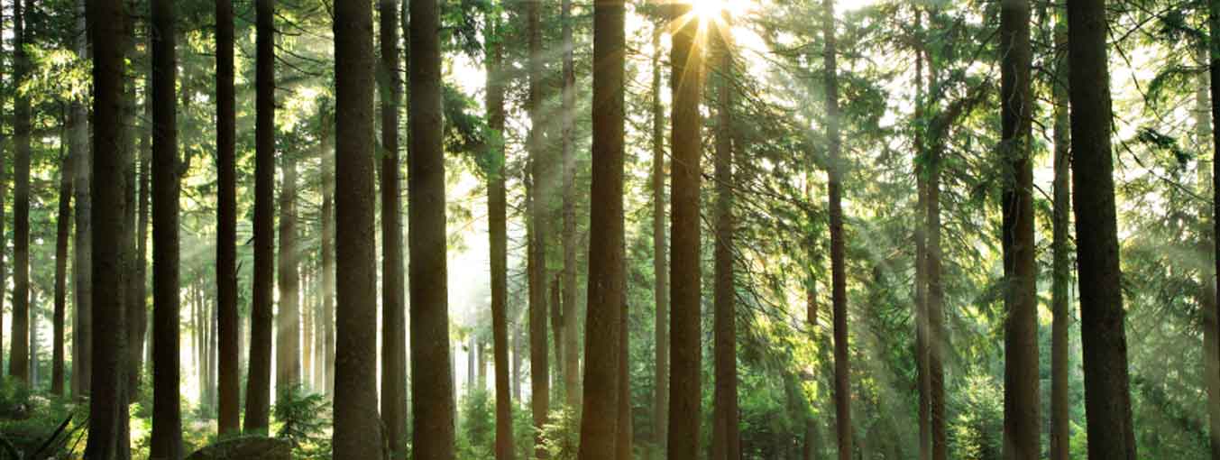 Obituary Henry J. LaPointe of Claremont, New Hampshire STRINGER