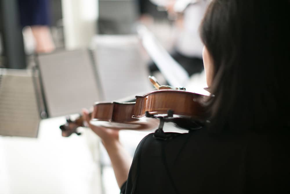 Hire String Quartet Coffs Harbour Wedding Live Music Bands String