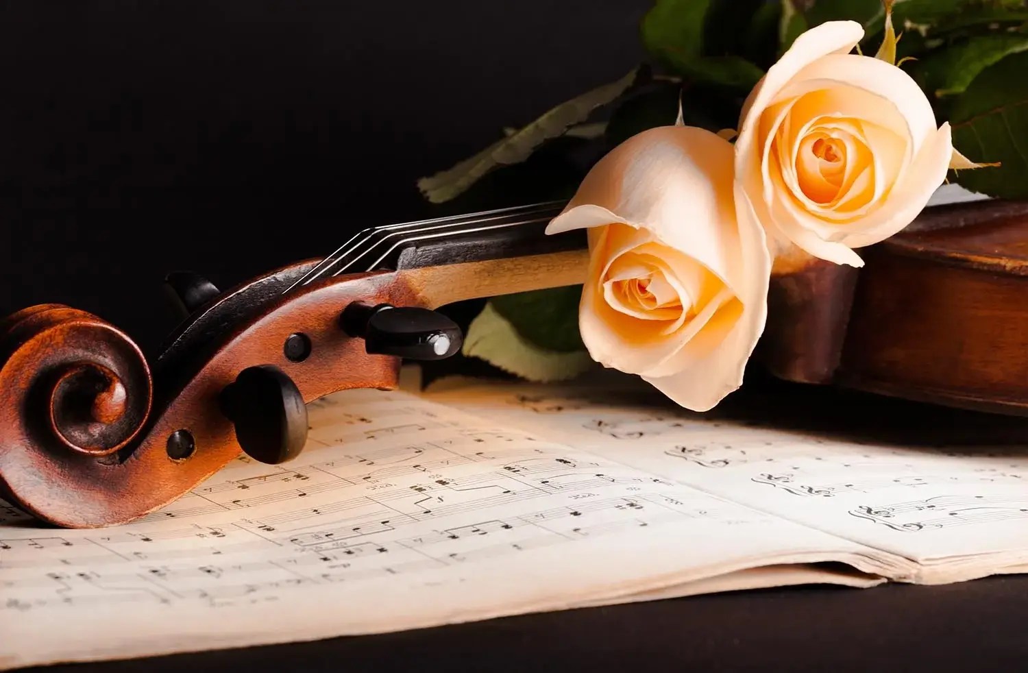 Live music for funerals and wakes. Hire a string quartet to help say