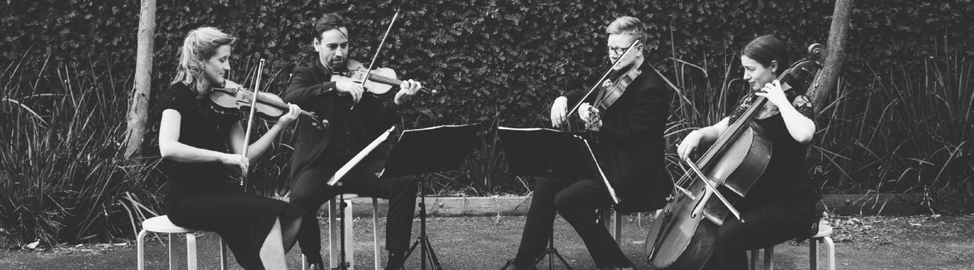 STRING QUARTETS Hire Classical Music Wedding Entertainment Violin