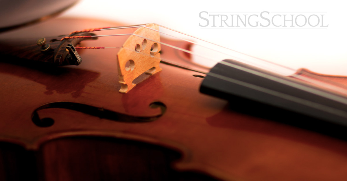 Affordable Group Violin Classes for Adults, Violin Teacher, Online via Zoom, InPerson Windham