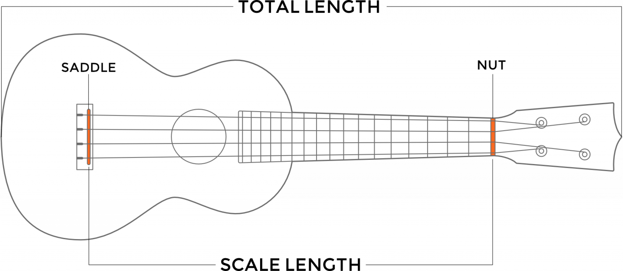 Concert Vs Tenor Ukulele (Learn More) Best Guide For 2023!