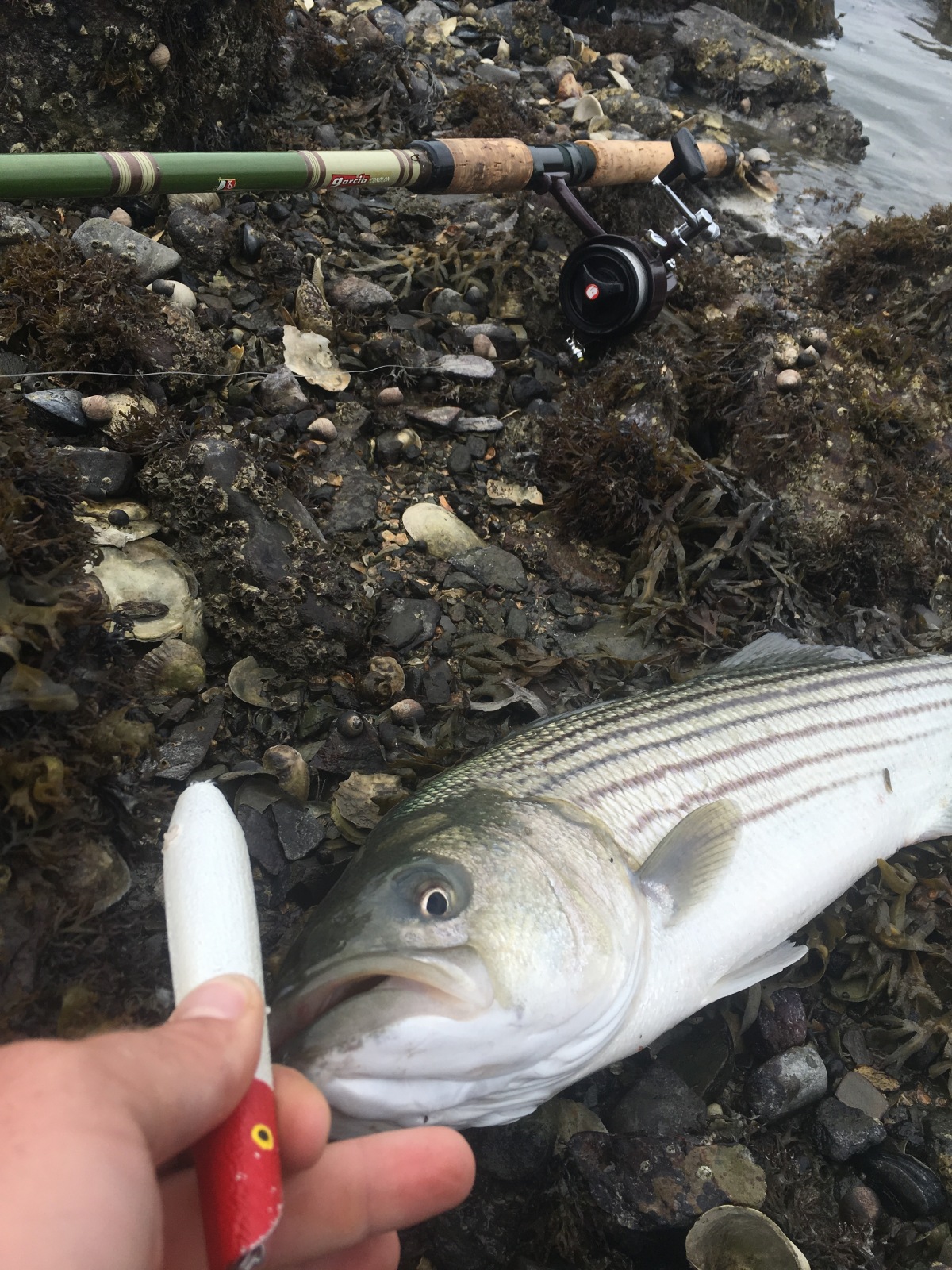 fishing action shots Page 2 Main Forum SurfTalk