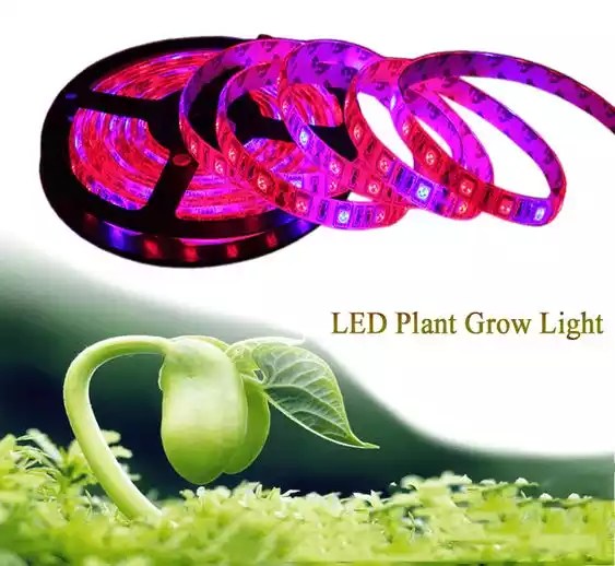 How to choose the best LED Grow Lights for your plant MSH LED Lighting