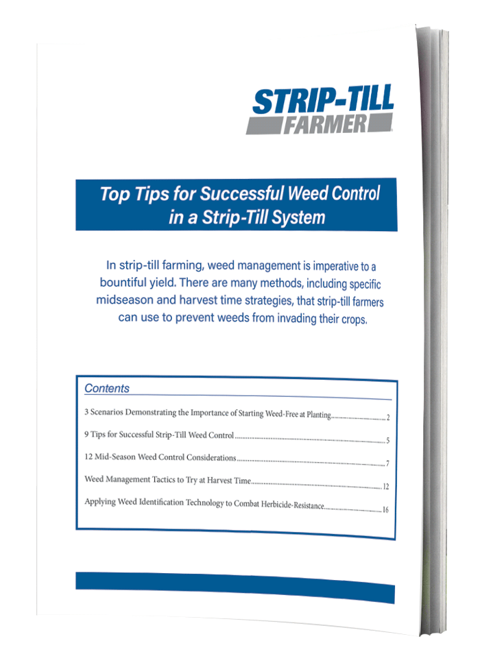 Top Tips for Successful Weed Control in a StripTill System