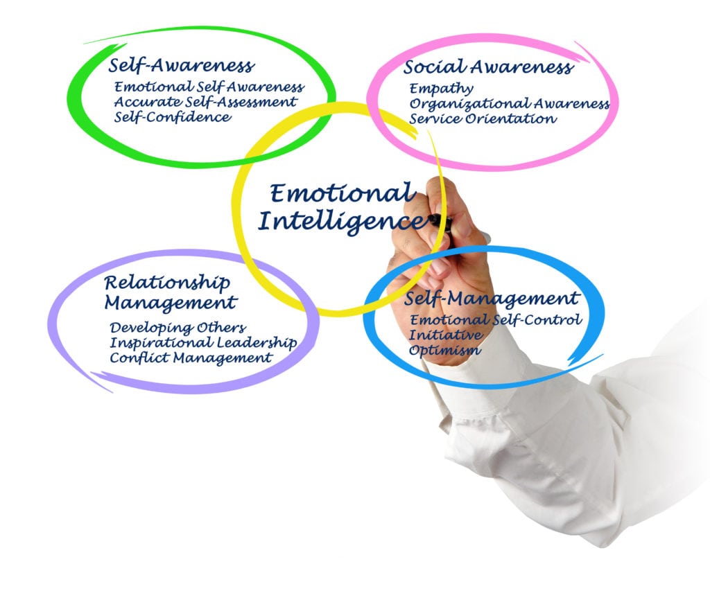 Emotional Intelligence What is it and why do I need it? Strive For More