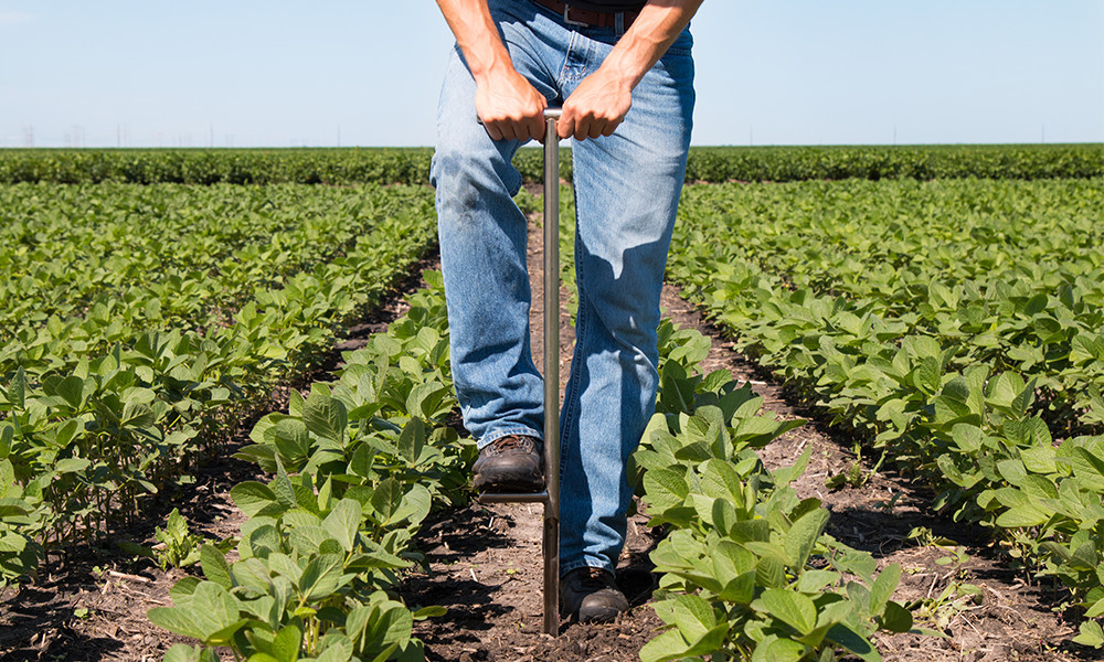 Soil Sampling