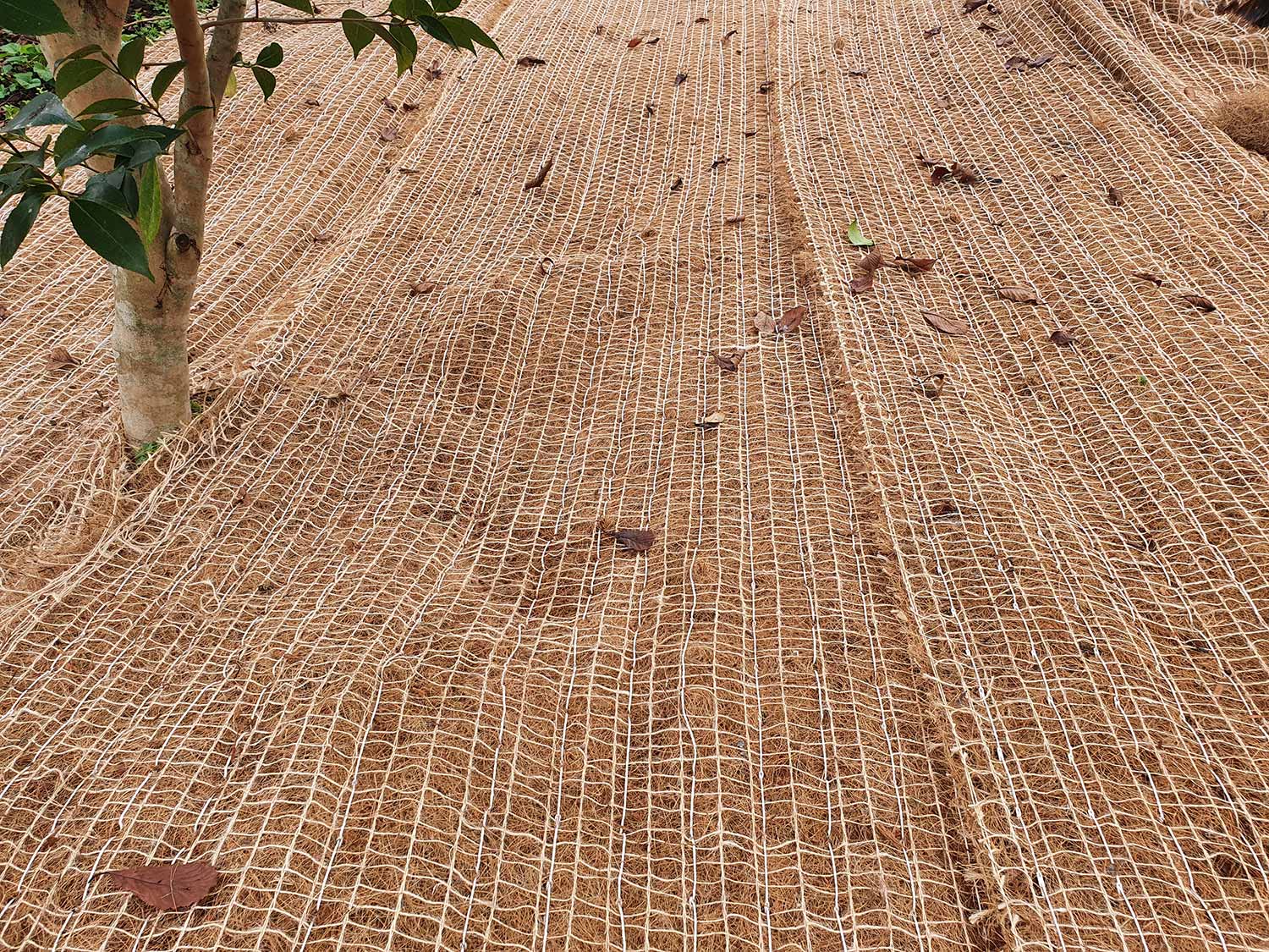 Strol Coconut Matting for Vegetation Establishment