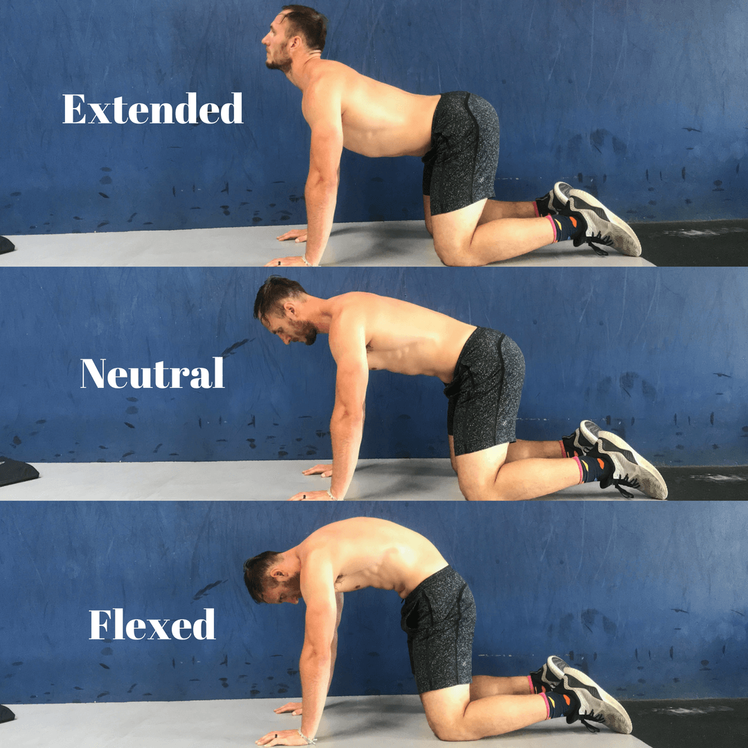 Should You Fear Lumbar Flexion? • Stronger by Science