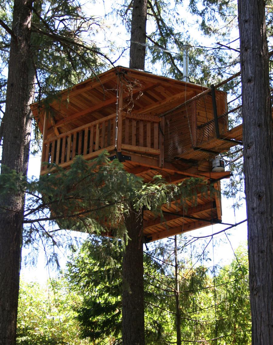 Tree House Gallery | PSE Consulting Engineers, Inc.