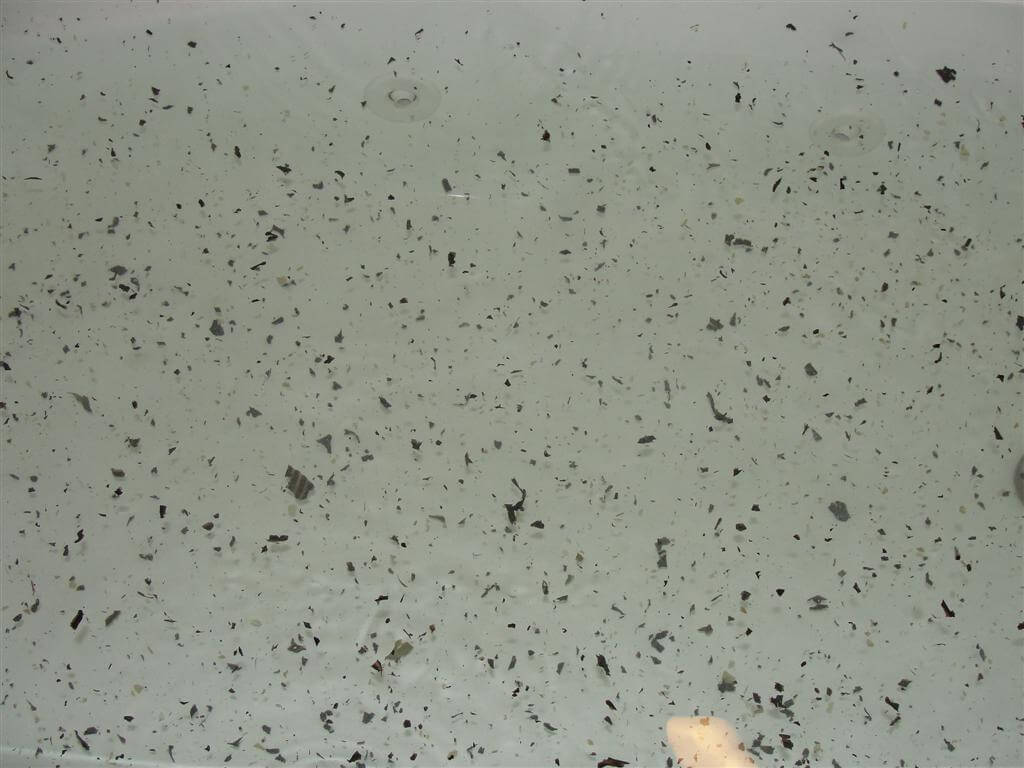 Whirlpool Maintenance