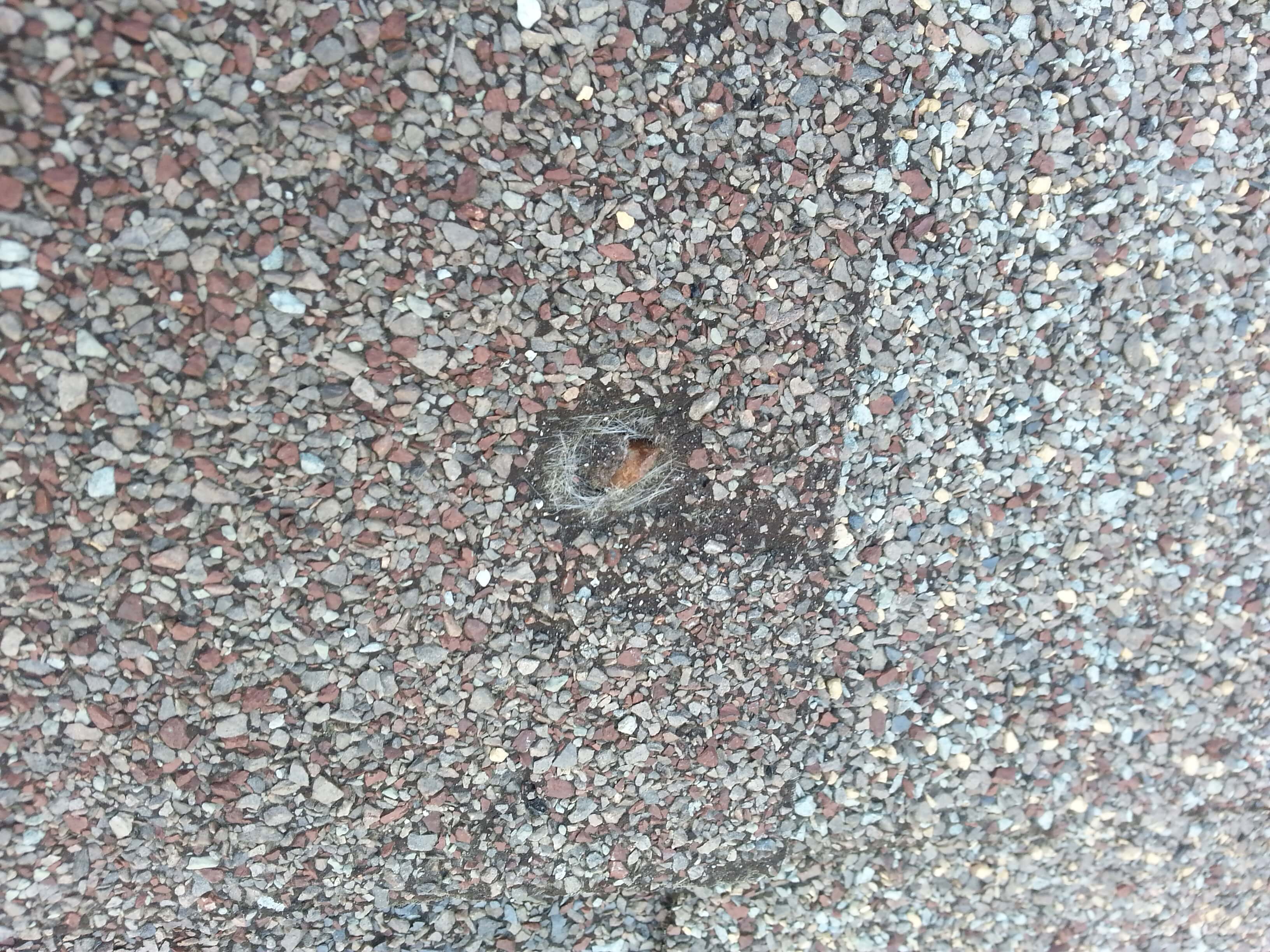 Roof Replacement Part 1 Should Contractors Use GAF, Owens Corning, or IKO?