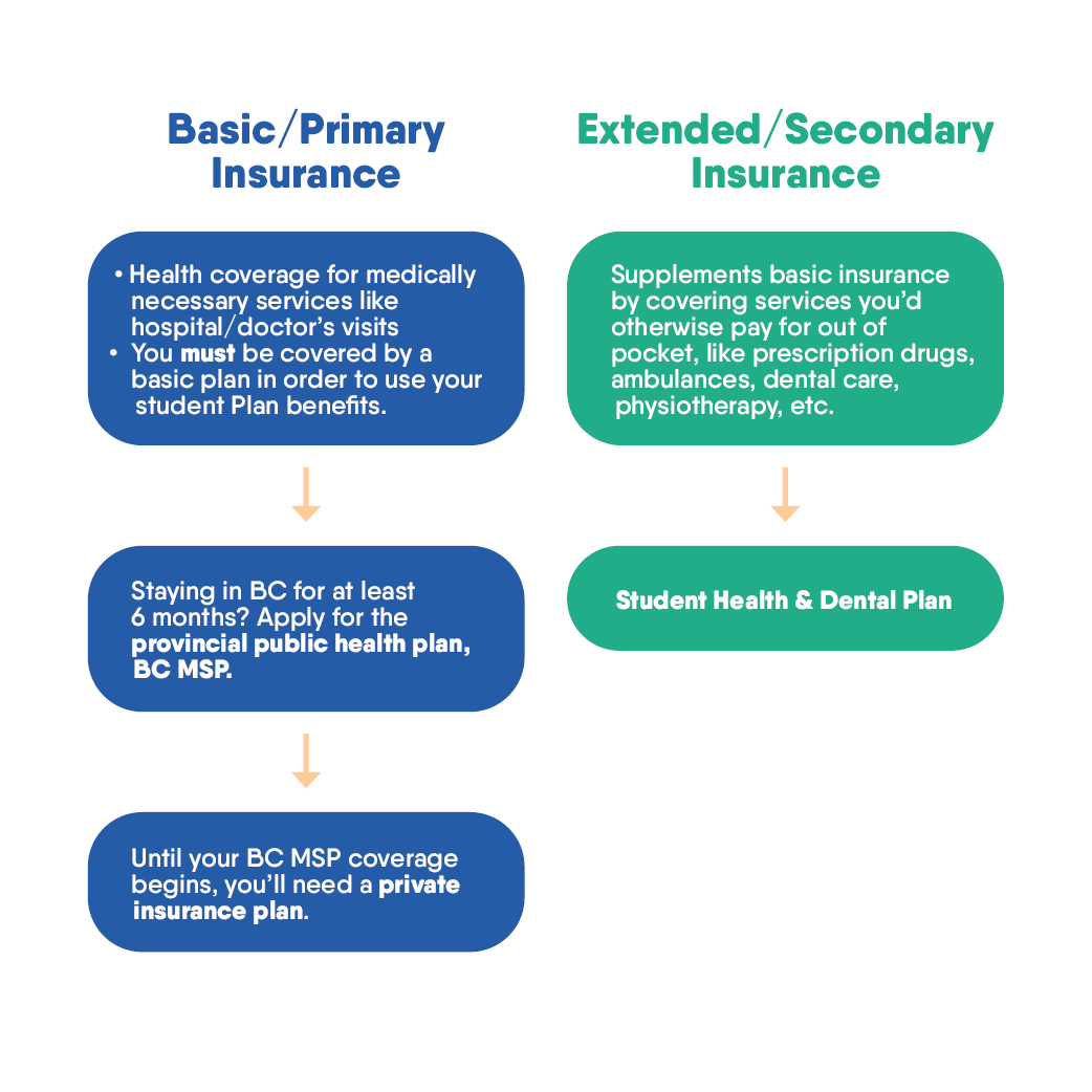 International Students