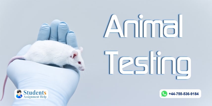 Arguments on Animal Testing or Experimentation Essay Free Sample