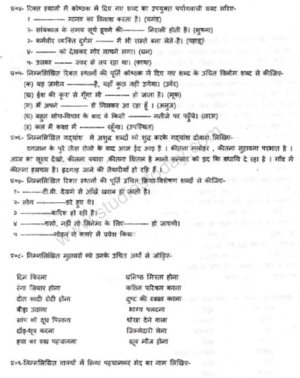 CBSE Class 8 Hindi Sample Paper Set 1