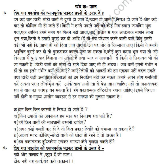 CBSE Class 8 Hindi Question Paper Set A