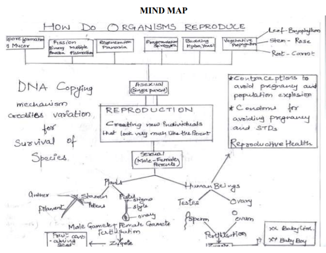 Reproduction Class 10