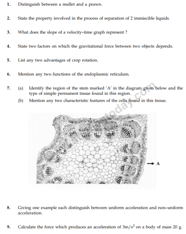 CBSE Class 9 Science Revision Question Paper Set 19