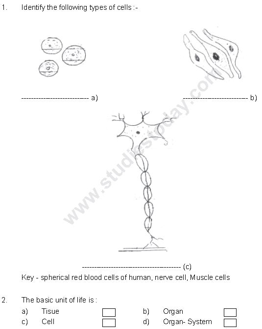 CBSE Class 8 Science Cell Structure And Functions Worksheet