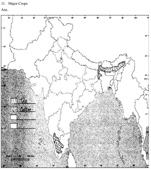 CBSE Class 12 Geography Map Major Crops Worksheet