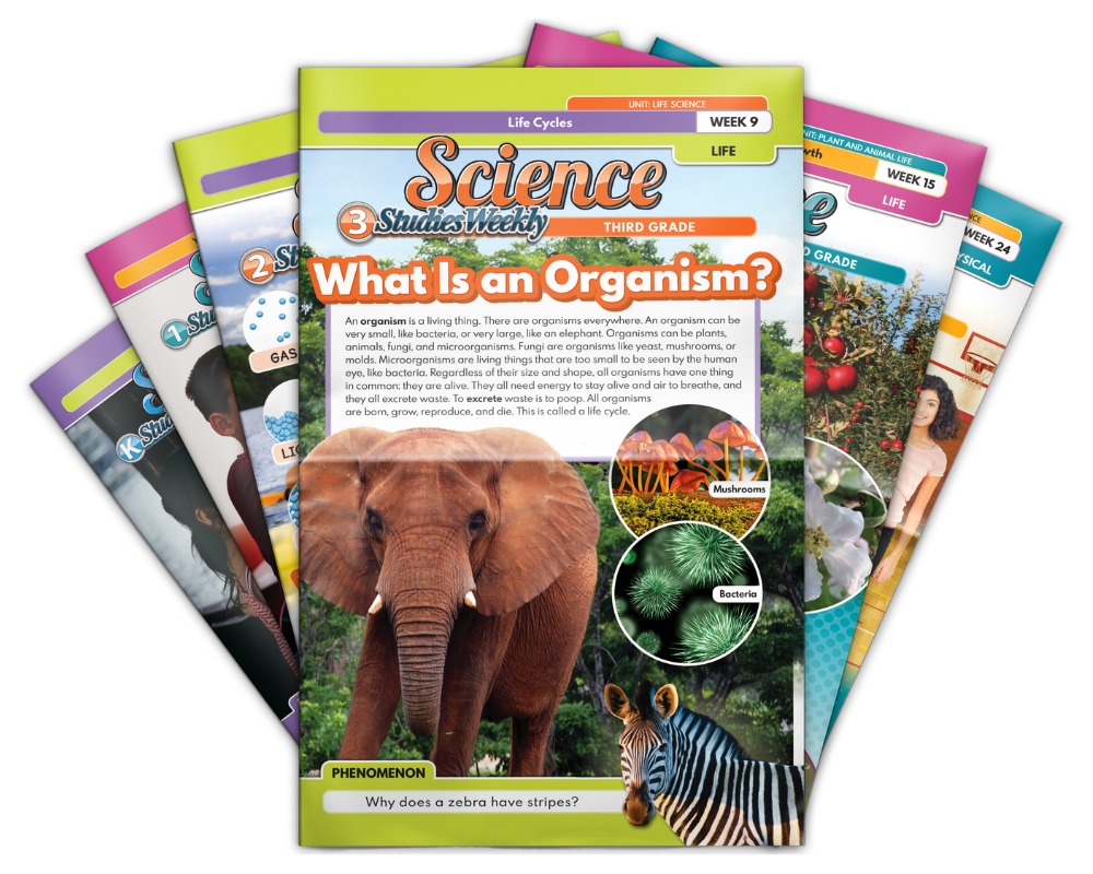 Louisiana Social Studies Curriculum 2024 Page Tricia