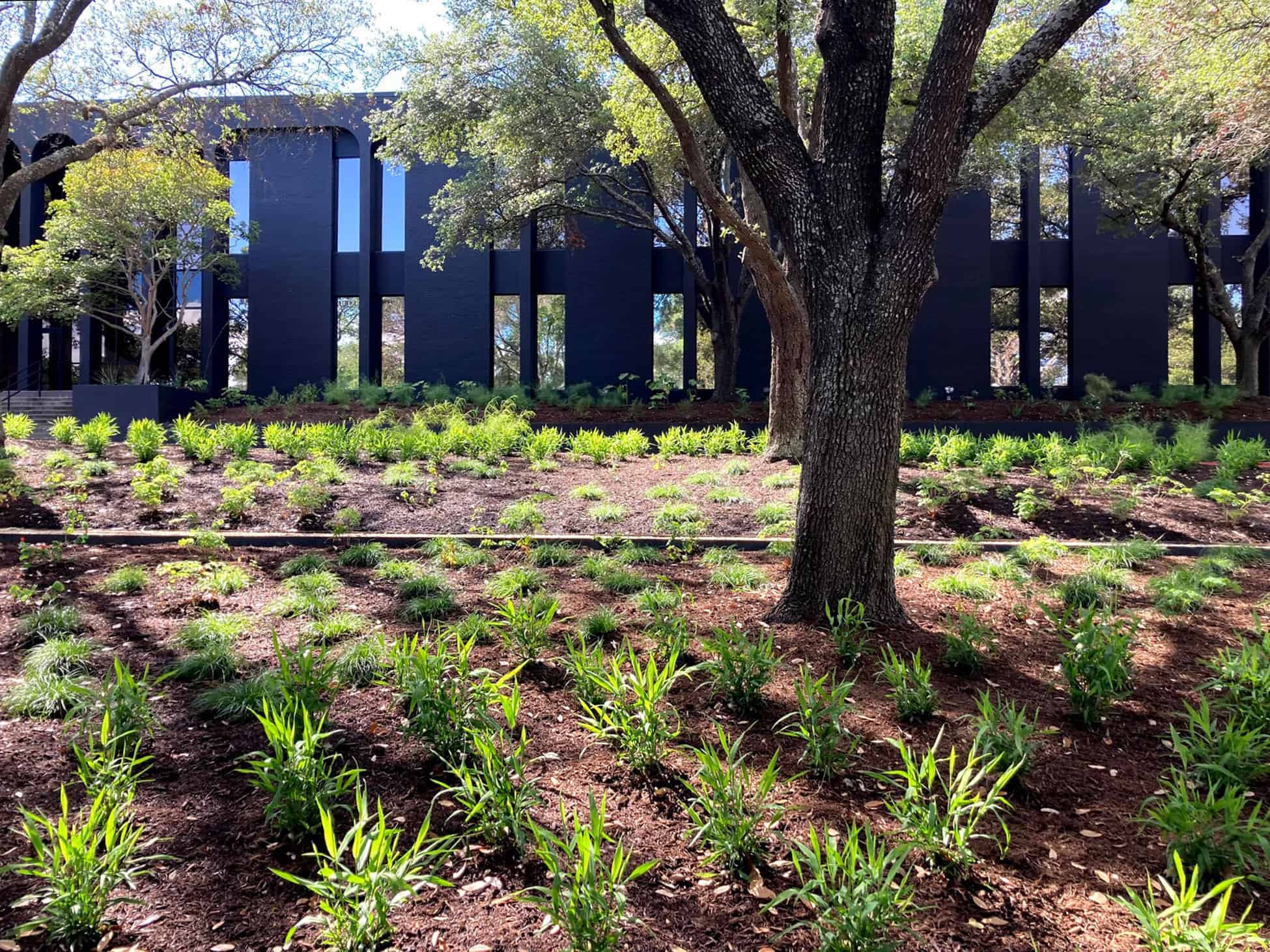 Austin Oaks • Studio Balcones