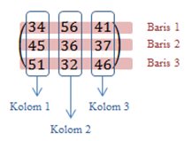 Pengertian Matriks, Ordo, Identitas, Jenis, dan Transpose Matriks