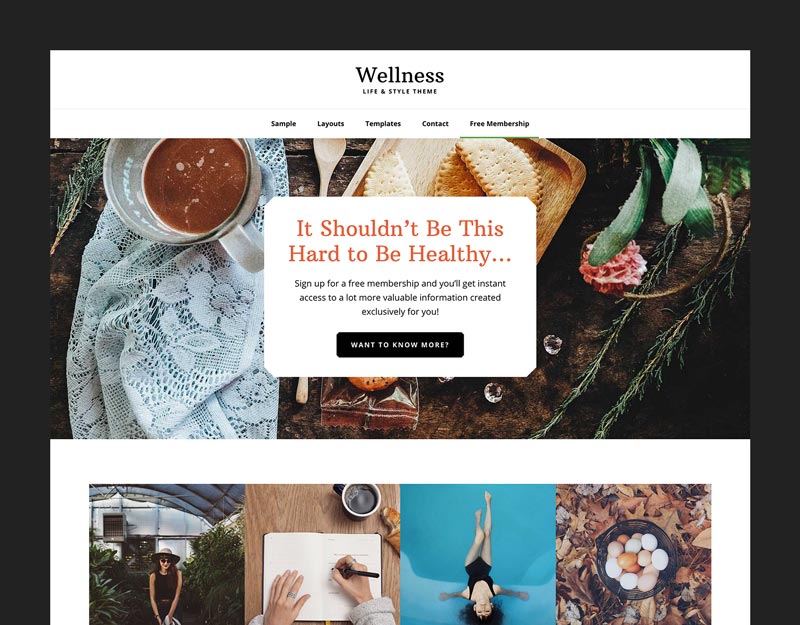 Wellness Pro A Holistic Solution for a Healthy site StudioPress