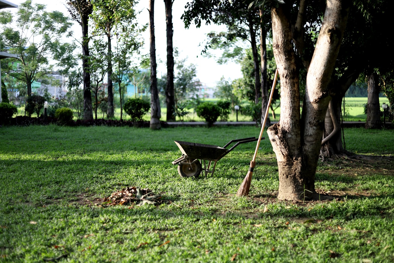 Lavori Di Giardinaggio In Primavera 900_x_1350_jpg