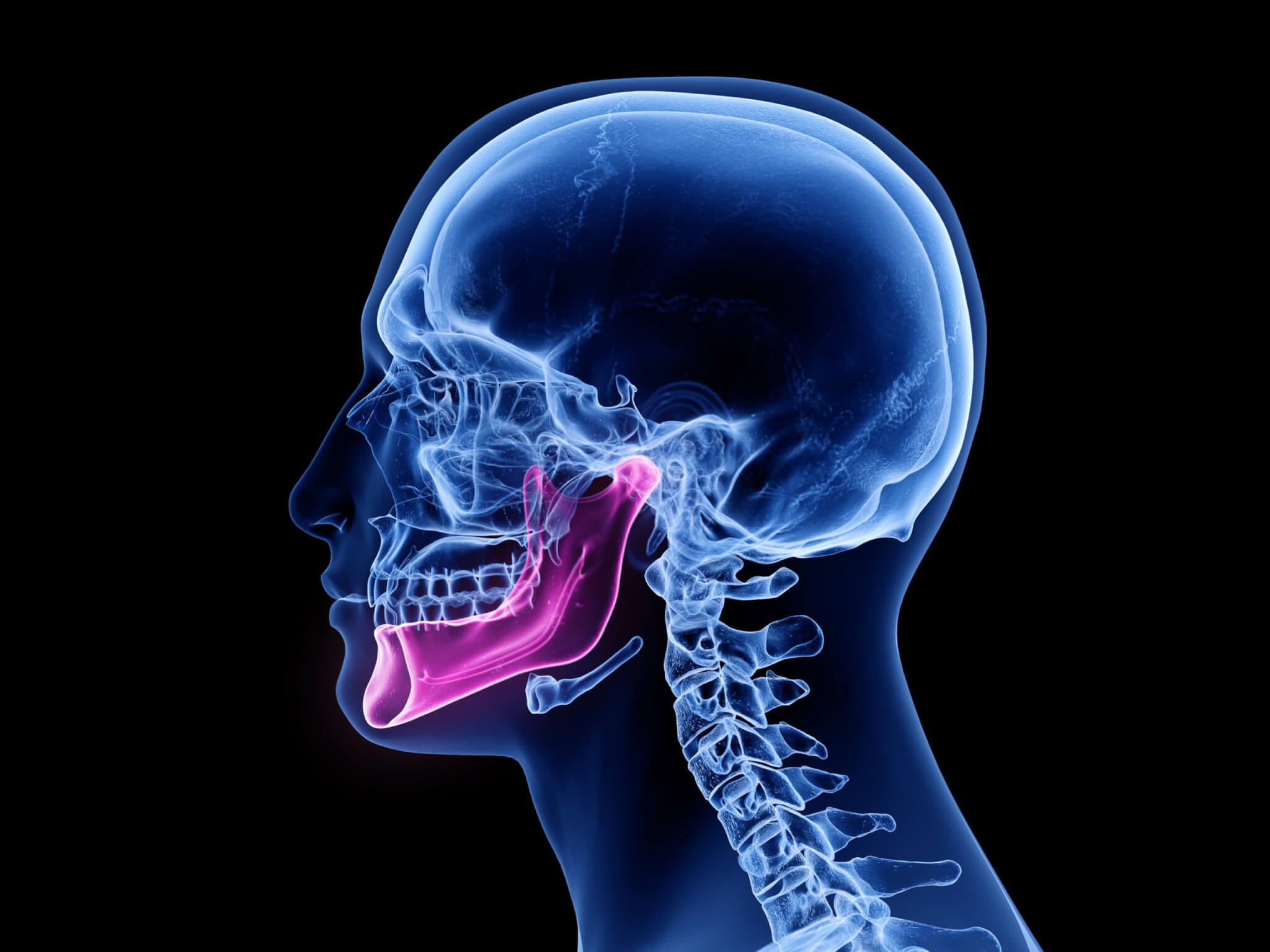 New jaw muscle layer discovered by scientists rewrites human anatomy