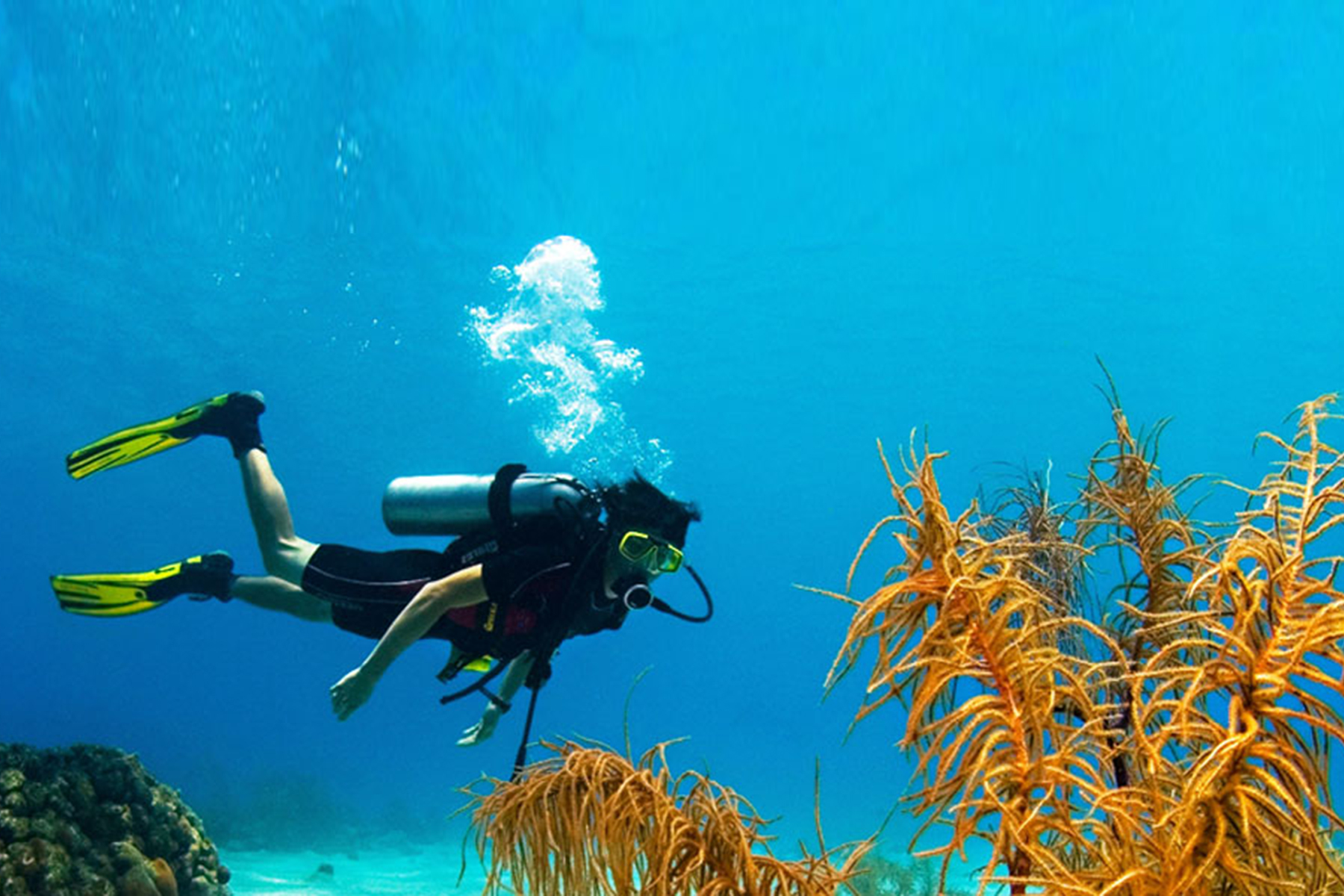 Splendid Snorkeling and Scuba Diving in Sri Lanka Study in Srilanka