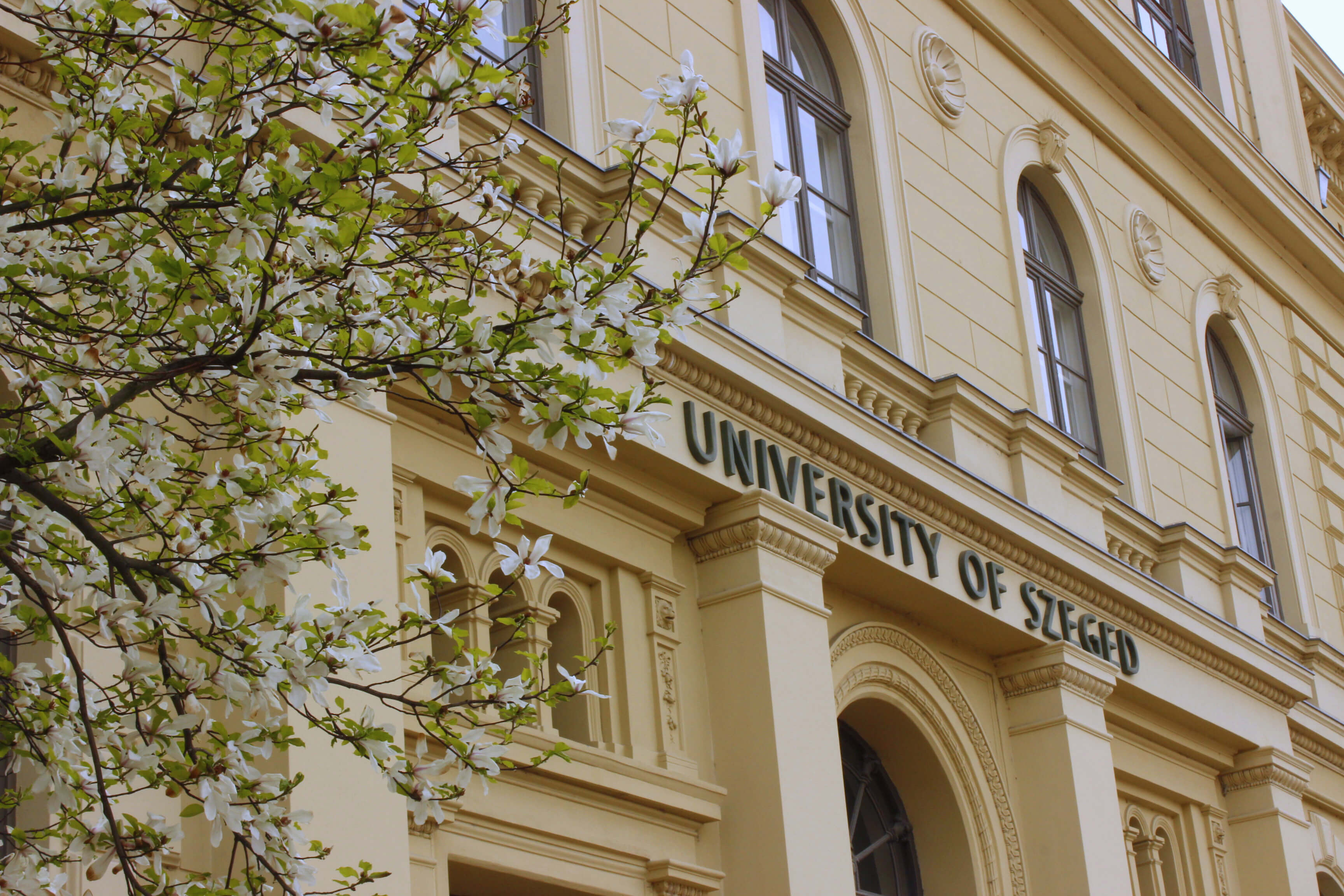 Degree In Medicine: Unis To Consider If You're Transferring Out Of Ukraine