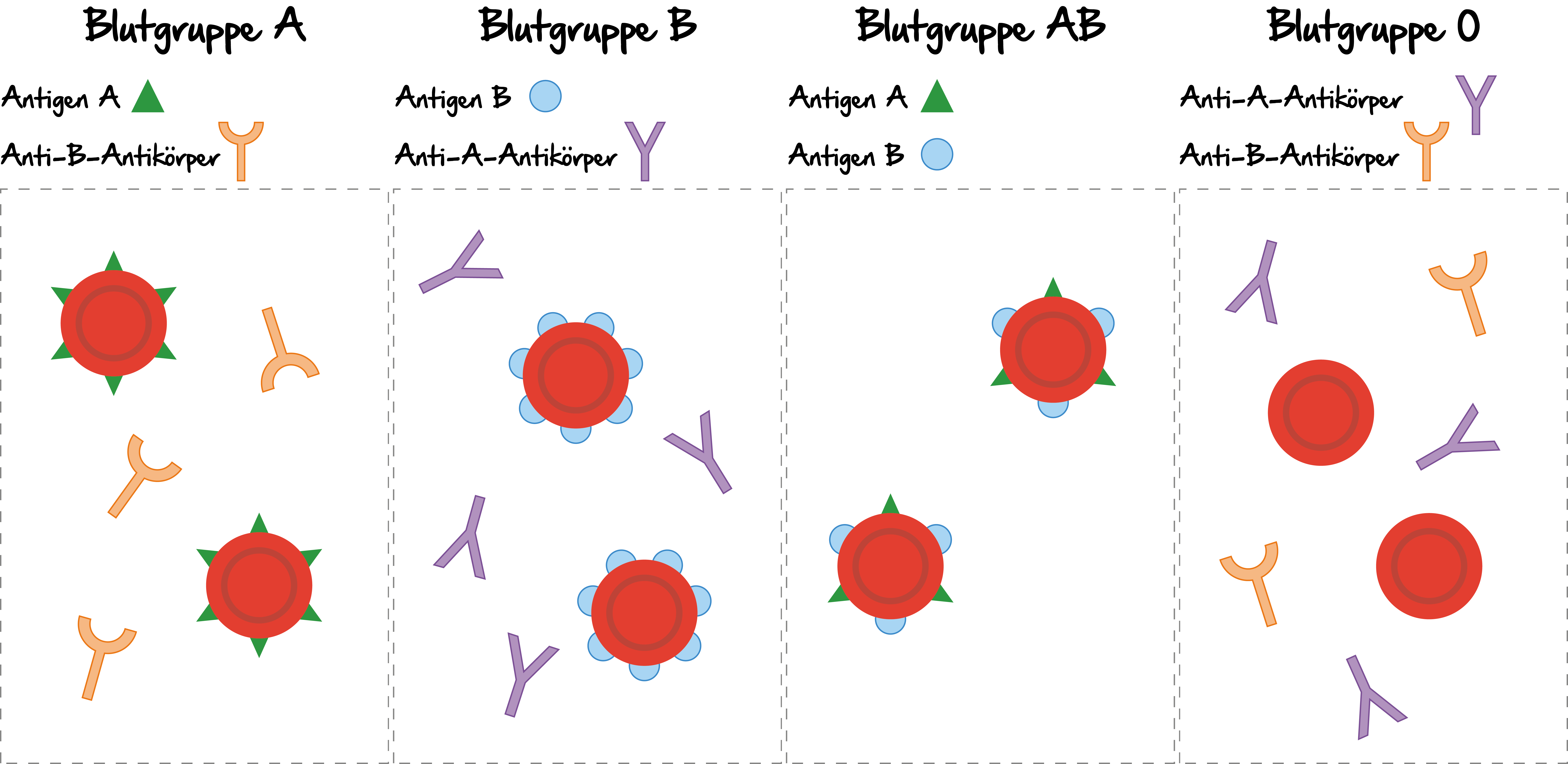 MedAT Vorbereitung Biologie