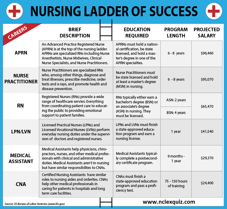 The Nursing Ladder of Success A Career Ladder for Nurses StudyPK