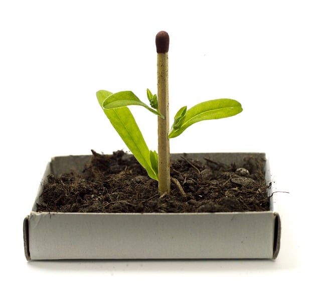 What is Biotechnology? Its Scope & Examples