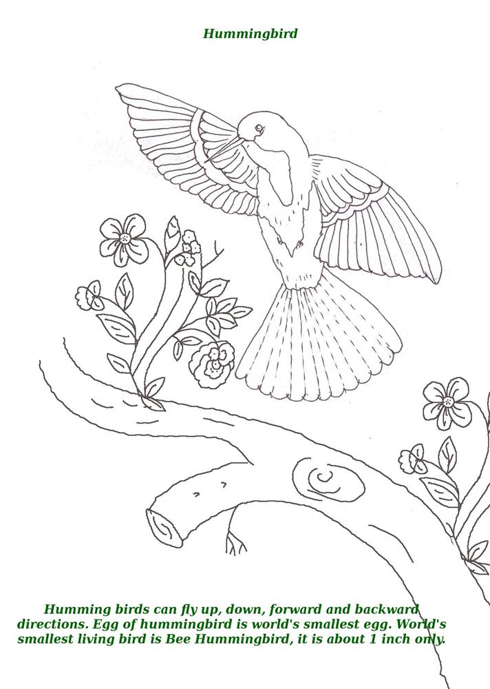 Whitepages is a residential phone book you can use to look up individuals. Birds Printable Coloring Page For Kids 6