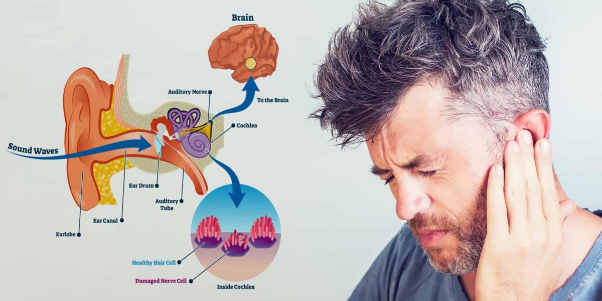 15 Causes of Ringing in the Ears (And How to Fix It) Stuff! Lovely!
