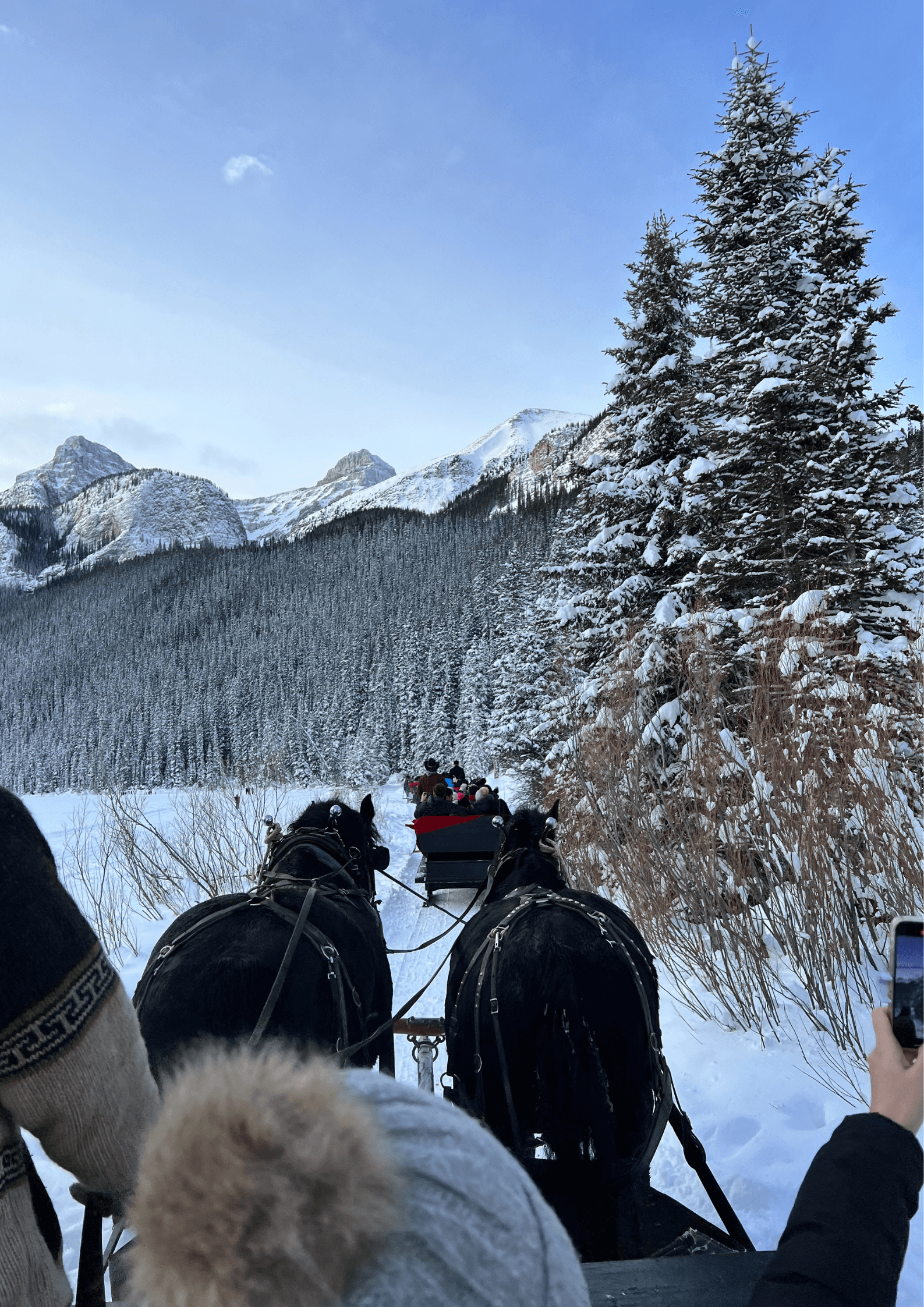 The Perfect White Christmas in Canada Stuff Mums Like