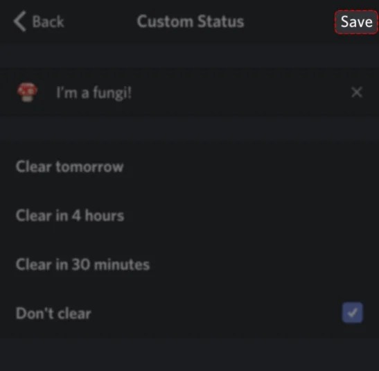 How to Set Custom Status on Discord?