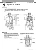 Biologie 1 Havo-Vwo Antwoordenboek Thema 3: Organen En Cellen (Bvj) - Biologie - Stuvia Nl