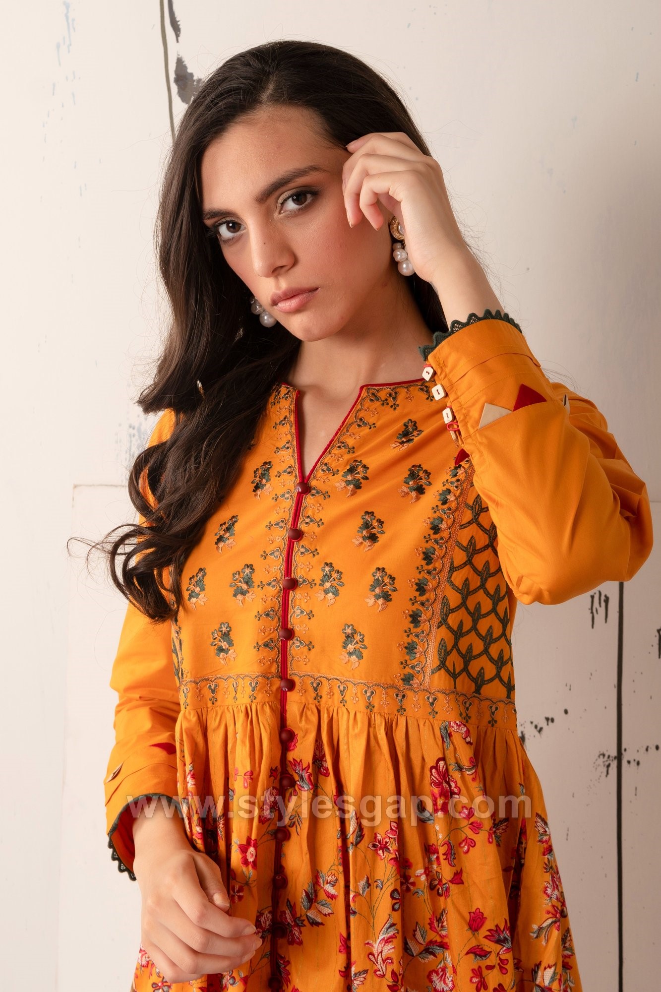 Pakistani Neckline Designs (4)