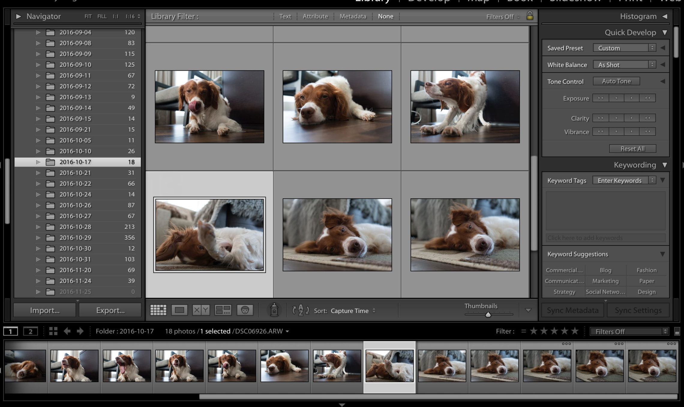 How To Create Custom Photo Filters with Lightroom Presets